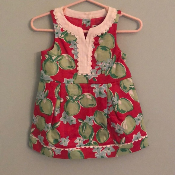 Janie and Jack Other - Janie and Jack baby girl 6-12 mos dress NWT